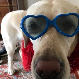 Meet your Posher, Second